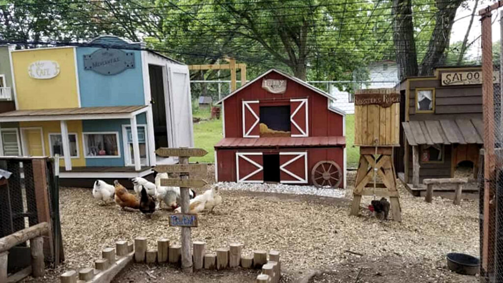 Man Builds Wife’s Chickens A ‘Wild West Coop Town’ Country Music Nation