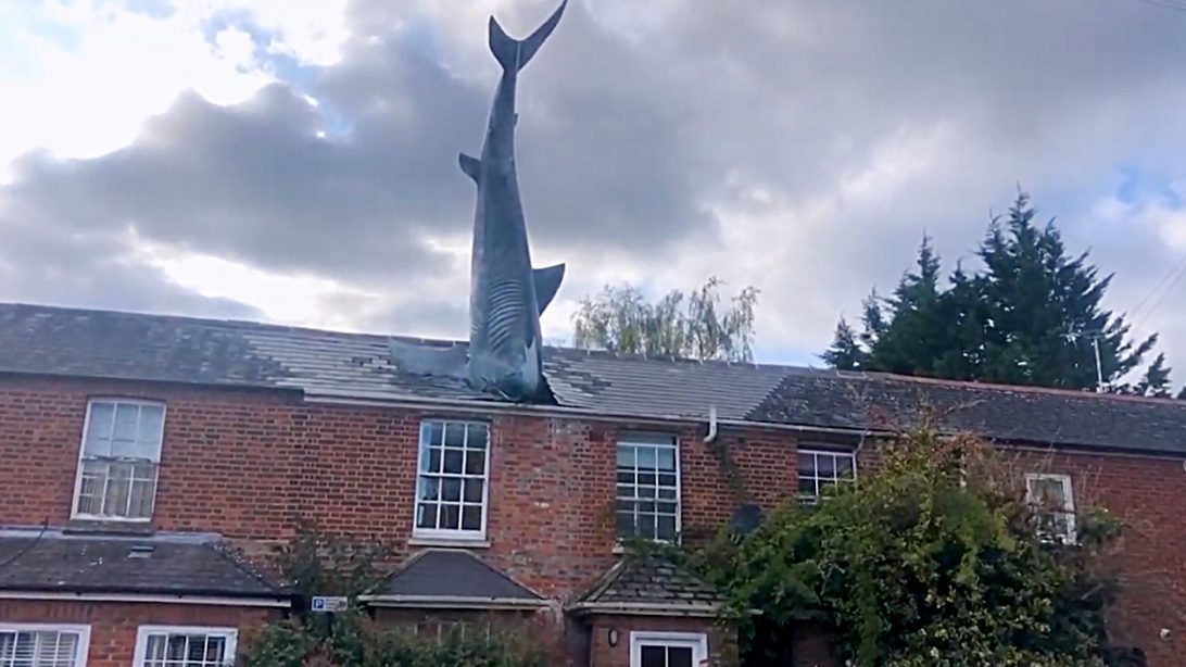 Homeowner With 25ft Shark Sticking Out Of Roof Battles City Council