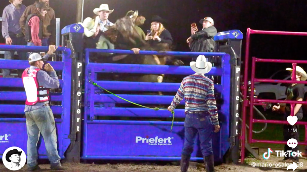 Florida Bull Rider Sean Daniels Suffers Brutal Injury During Rodeo Event