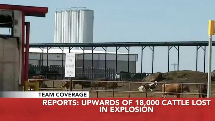 Texas Dairy Farm Explosion Kills 18000 Cattle Country Music Nation 1054