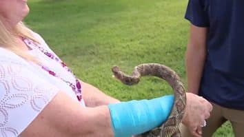 The woman talking about the snake, hawk attack.