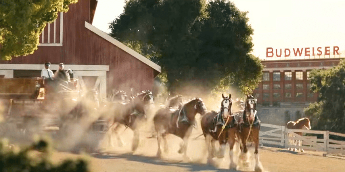 best budweiser super bowl ads