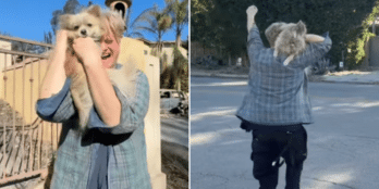 California Man Who Lost His Home To Wildfire Finds His Dog Alive After Five Days