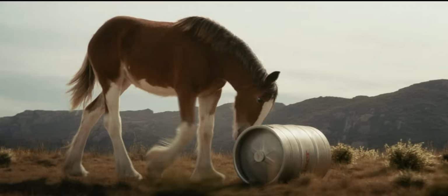 youtube super bowl budweiser commercial