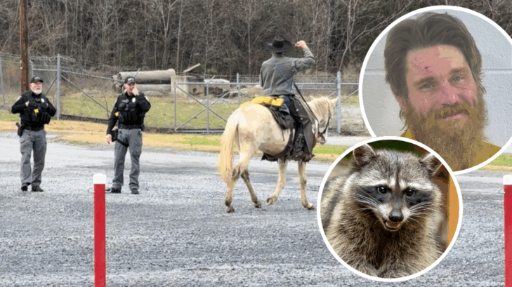 A mule-riding Kentucky man called "Cowboy Cody" allegedly released a raccoon in a bar, and was arrested afterward.