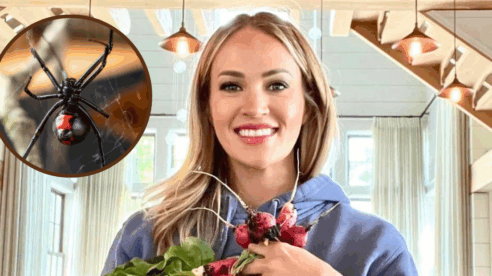 Carrie Underwood Shares Terrifying Spider Sighting on Her Farm