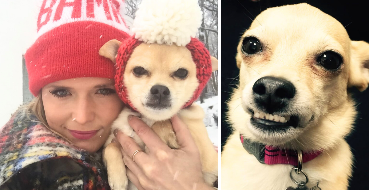 Miranda Lambert Mourns Death Of Her Dog Cher - Read Her Heart-Tugging Tribute