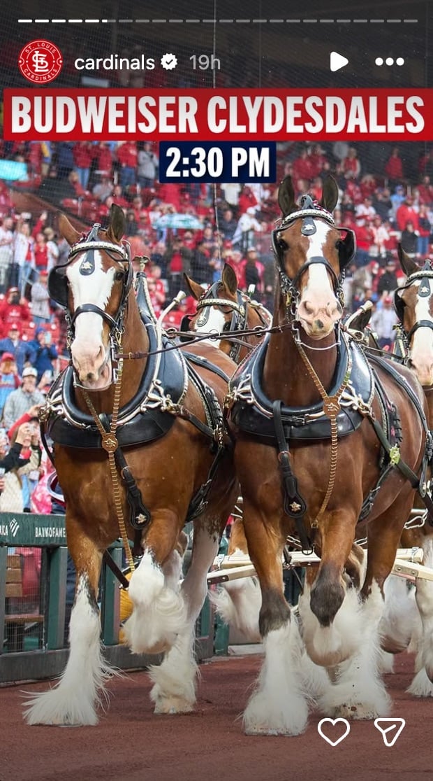 The famous Budweiser Clydesdales will take the field at Busch Stadium at 2:30 PM on March 26, 2026